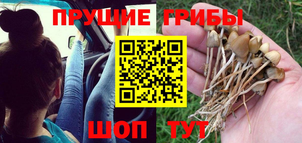Галлюциногенные грибы мухоморы Вязники